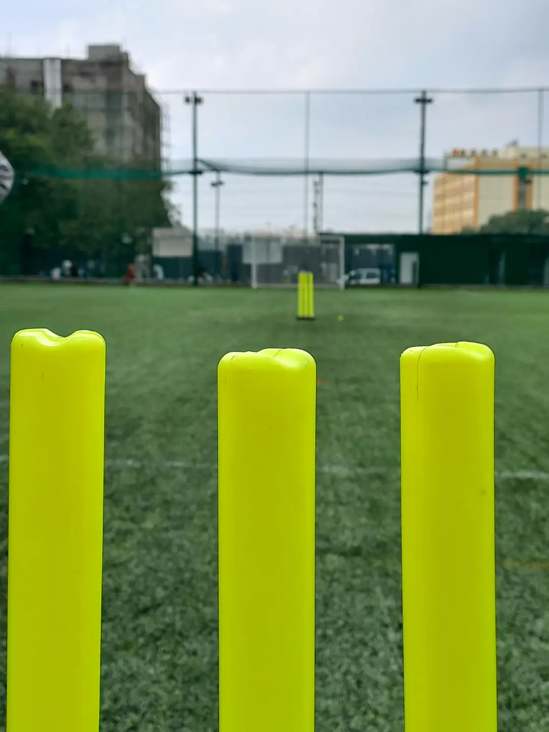 Close-up of cricket stumps on the turf at Coliseo Noble Residency